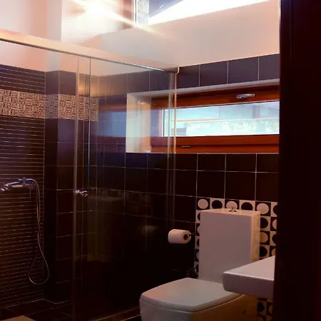 Modern Chalet In Parnassus Αράχωβα